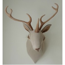 Deer Trophy with brown antlers